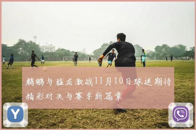 鹈鹕与猛龙激战11月10日球迷期待精彩对决与赛季新篇章