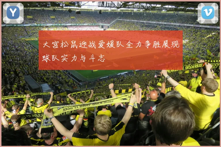 大宫松鼠迎战爱媛队全力争胜展现球队实力与斗志