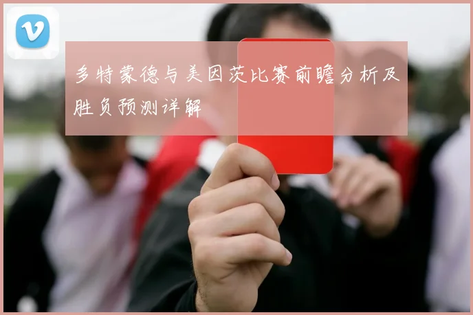 多特蒙德与美因茨比赛前瞻分析及胜负预测详解