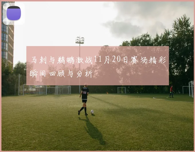 马刺与鹈鹕激战11月20日赛场精彩瞬间回顾与分析