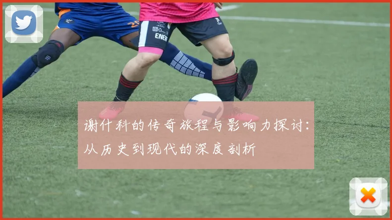 谢什科的传奇旅程与影响力探讨：从历史到现代的深度剖析