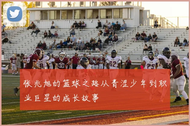 张兆旭的篮球之路从青涩少年到职业巨星的成长故事